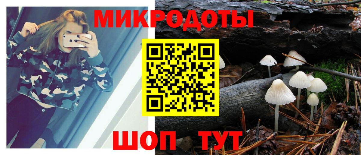 Галлюциногенные грибы Psilocybe Зима