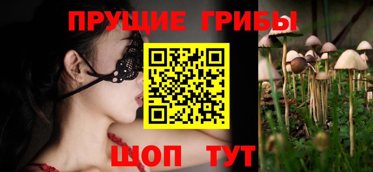 Псилоцибиновые грибы мицелий  Вход с VPN  Зима  Галлюциногенные грибы GOLDEN TEACHER 